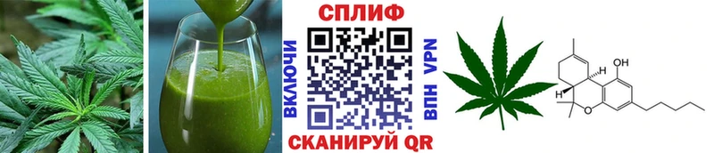 omg ССЫЛКА Магадан Печенье с ТГК конопля где купить наркоту