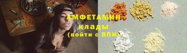 ГАЛЛЮЦИНОГЕННЫЕ ГРИБЫ Аркадак