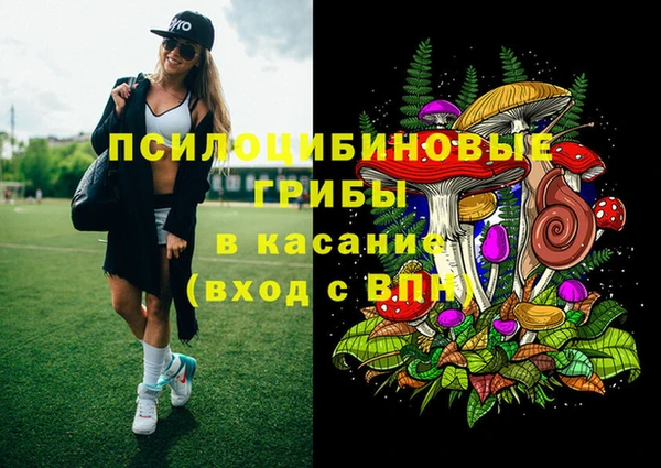 ГАЛЛЮЦИНОГЕННЫЕ ГРИБЫ Аркадак