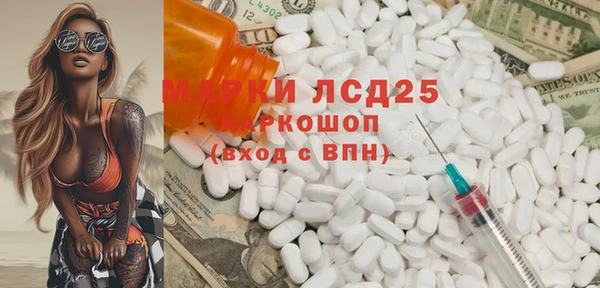 ГАЛЛЮЦИНОГЕННЫЕ ГРИБЫ Аркадак