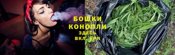ГАЛЛЮЦИНОГЕННЫЕ ГРИБЫ Аркадак