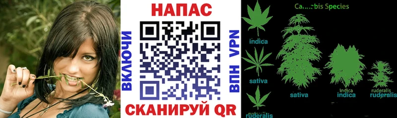 Бошки марихуана индика Магадан
